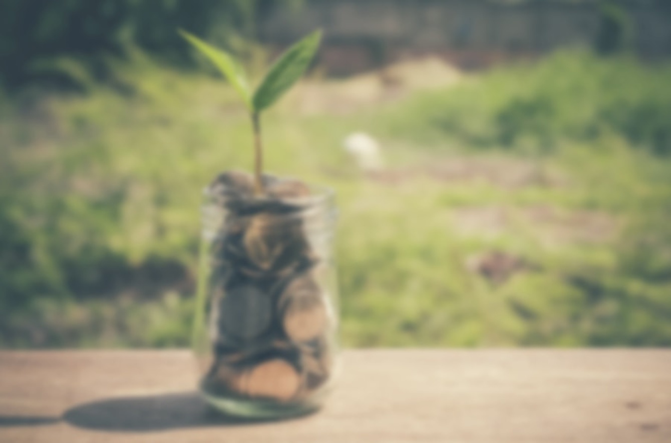 Fördermittel-Suche bei Ditmar Gurk GmbH in Lichterfeld